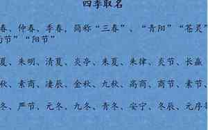 卖暖宝宝名字大全