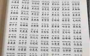 好听的宝宝重叠名字
