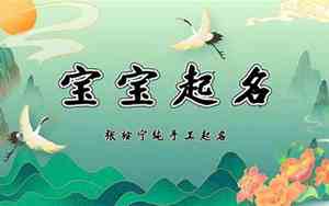 施姓男宝宝名字兔年