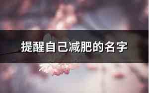 减肥网名
