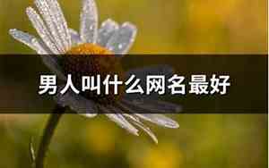 什么网名最好