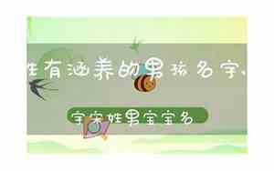 十二笔男宝宝名字大全