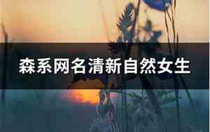 森系的网名