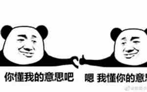 你懂的好听吗