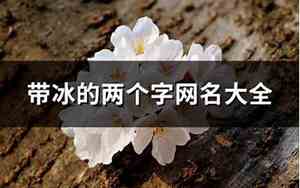 冰遗网名