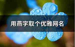 燕字取网名