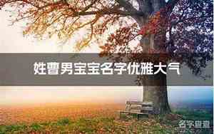 2020曹姓男宝宝名字
