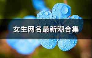 新潮网名