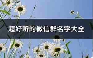 好听的红包群名字