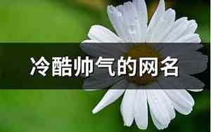 冷酷帅气的网名