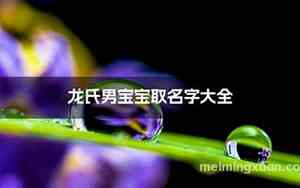 方氏龙宝宝名字