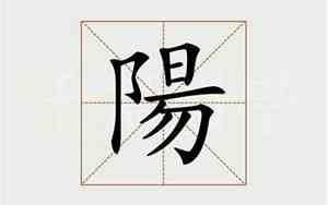 有没有中间是阳的好名字