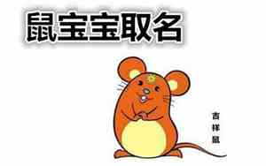 华姓鼠宝宝名字