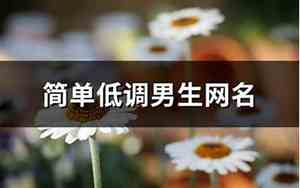 低调的网名男生