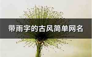 带雨字的古风网名