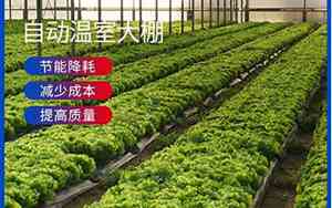 大棚制造公司名字大全