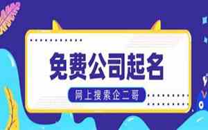 水母公司起名大全英文