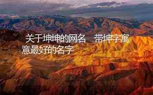 坤的名字网名高级好听