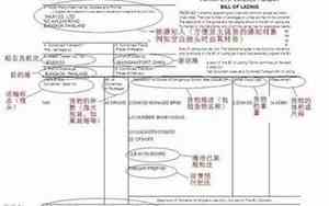 提单上没有公司名字付款