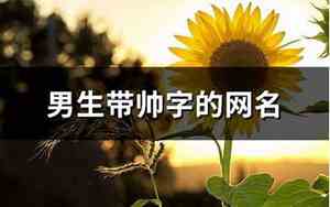 带帅的网名