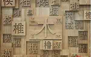 木制品公司起名洋气吗女
