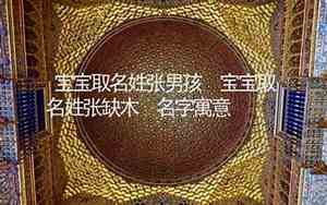 张姓猪宝宝缺木男孩名字