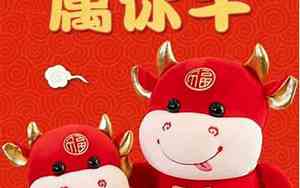 牛宝宝思芮名字打分
