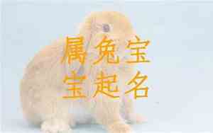 兔宝宝名字带豆吗