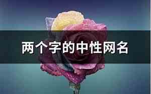 中性的网名