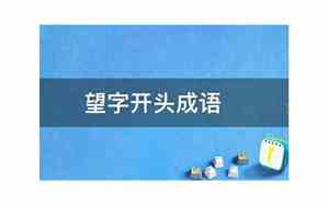 望字开头的公司名字