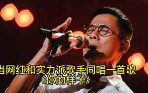 烦人的歌谁唱的好听
