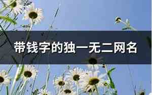 带钱的网名