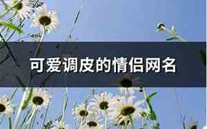 调皮情侣网名