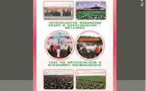 农科展览公司起名