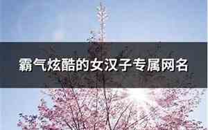 女汉子的网名
