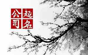 有志气的公司名字