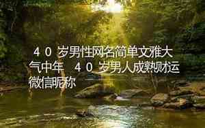 中年男性网名