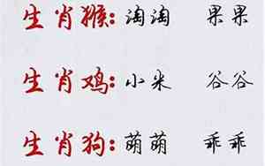 219年男猪宝宝名字