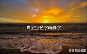 男宝宝名字带晟的