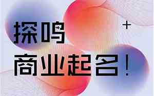 带潜的公司名字