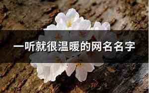 温暖网名