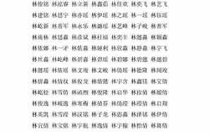 2018男孩好名字姓林