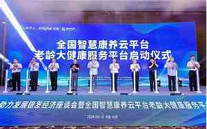 智慧康养有限公司起名