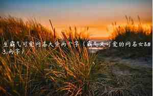 女生网名两个字霸气