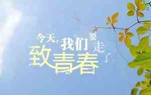 春的网名