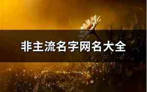 主流网名