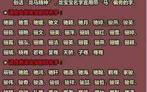 男女龙宝宝名字大全