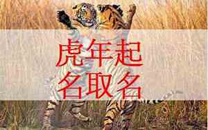 唐姓虎男宝宝名字