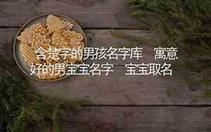 含楚字的好名字