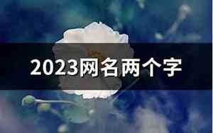 两个字网名